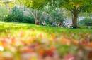 Students sitting on lawn